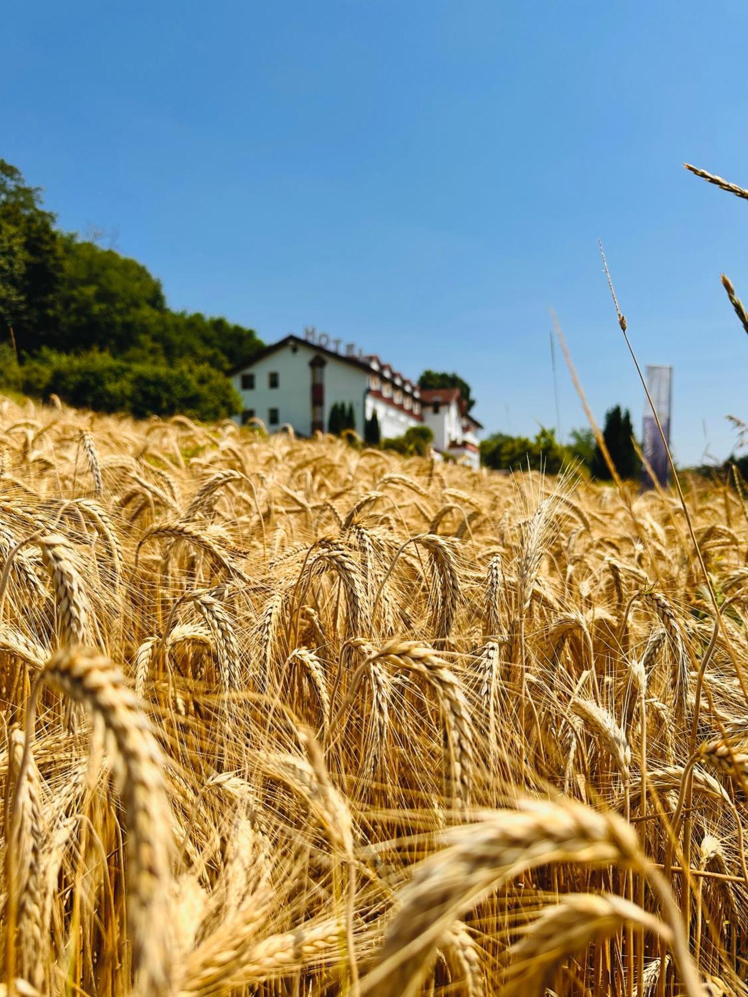 Familien Hotel Krainz Fürstenfeld エクステリア 写真