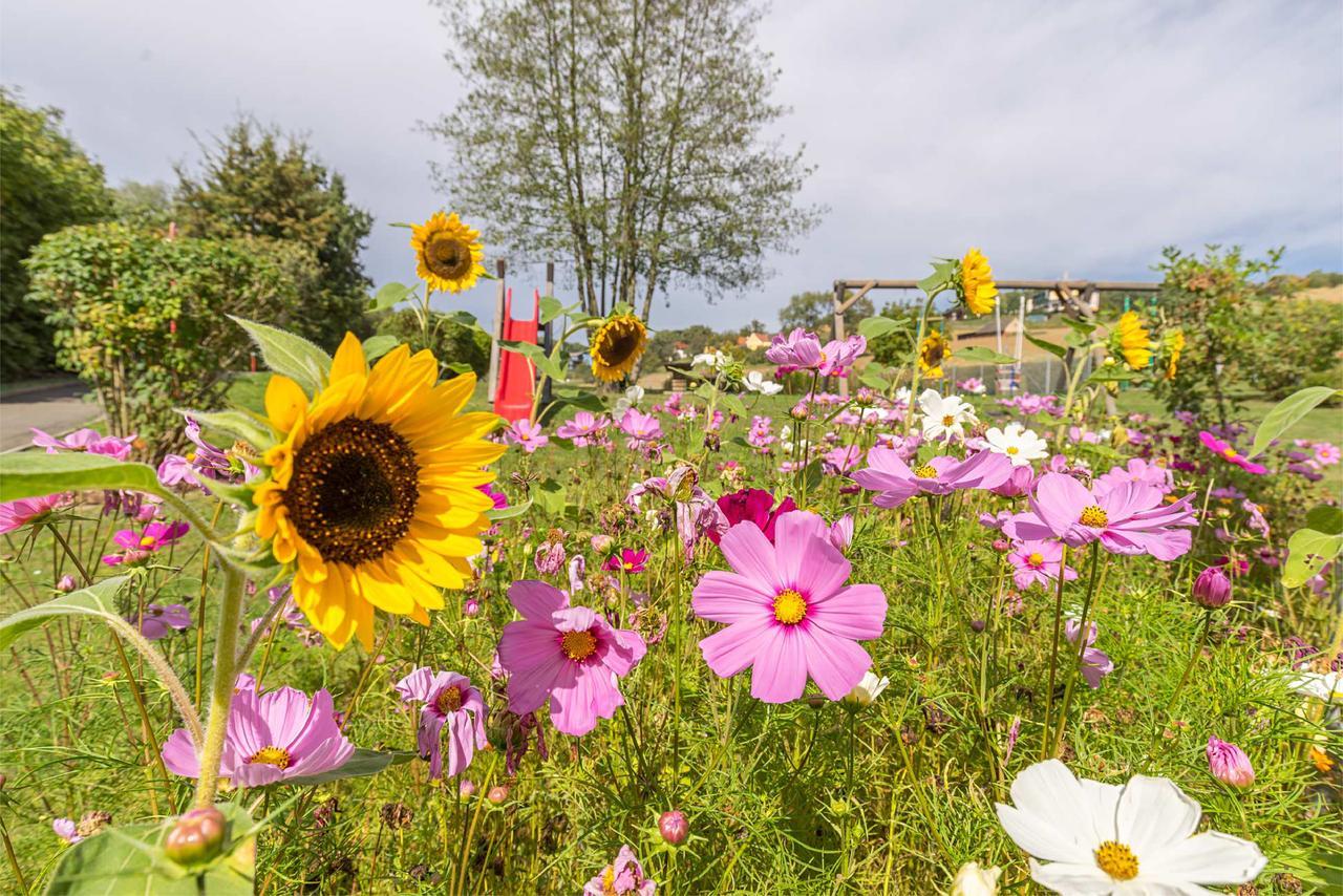 Familien Hotel Krainz Fürstenfeld エクステリア 写真